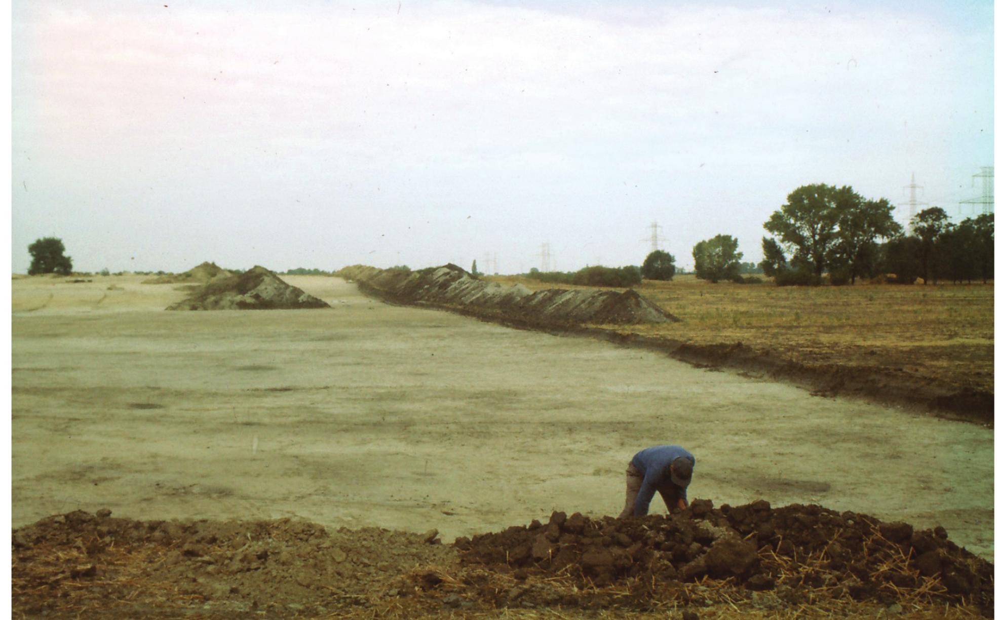 Fig. 3. The site of Lébény - Bille-domb, after the removal of the top layer of the soil by machines (Photo: Miklos Takacs, 