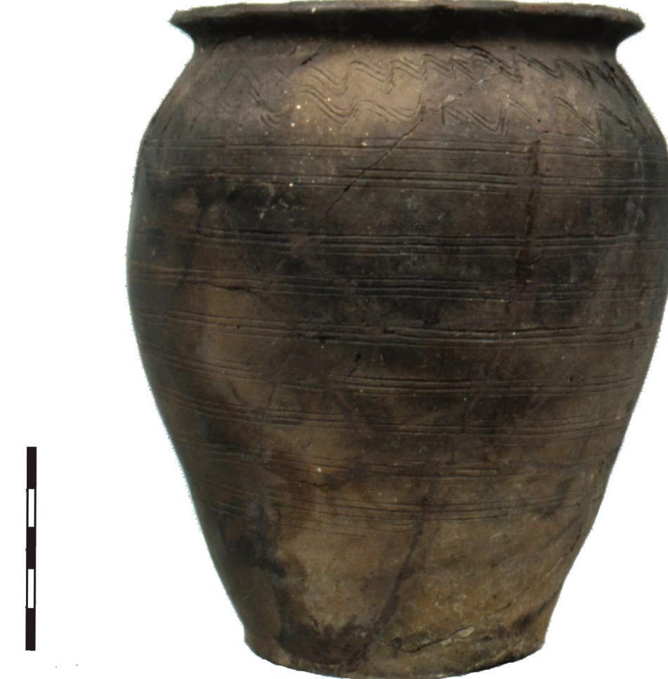 Fig. 5. A pot from the site Lébény - Bille-domb, filling of the the feature Nr. 4044 (Photo: Tibor Kadas)  collected data. This situation minimizes the possibility of formulating well-grounded conclusions. The out- lined dilemma can be solved by the usage of a holistic approach, instead of making partial analyses. The main target would be in this case not only to analyse single features or artefacts, but also to find clues in the pro- cessed site itself for its analysis as a whole unit. As we treat the excavated settlement features and artefacts as parts of a whole unit, we have to make efforts in han- 