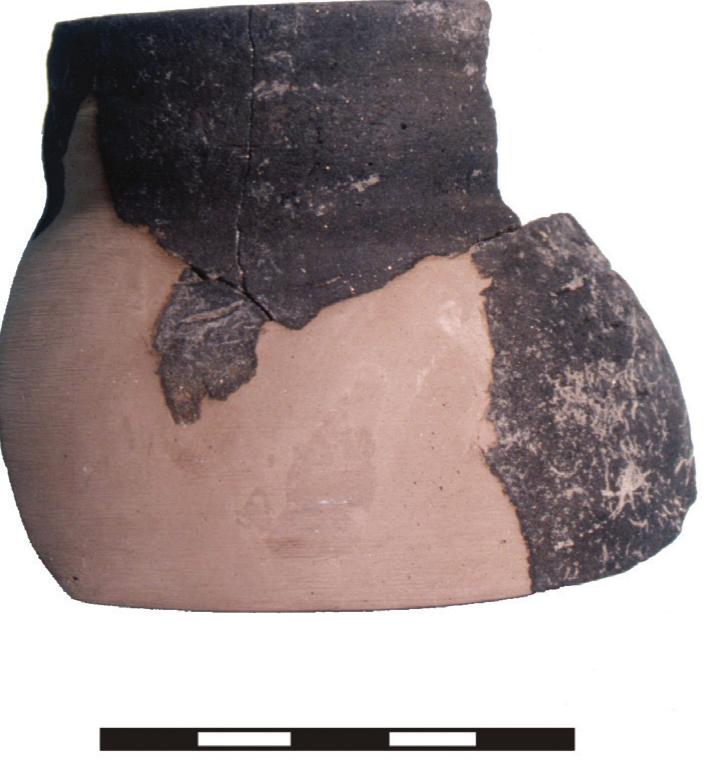 Fig. 6. Fragments of a pot with ribbed neck from the site Lébény - Bille-domb, filling of the the feature Nr. 2138 (Photo: Tibor Kadas) 