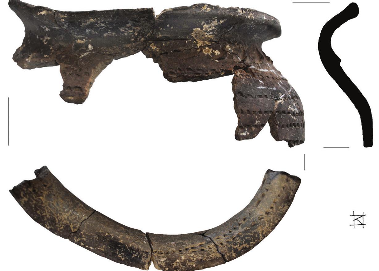 Fig. 7. Fragments of a pot with cogwheel-pattern: Sarvar - Faképi-dul6, filling of the feature Nr. 668 (Photo: Ildiké Katalin Pap)  dling the results of the analyses of single features as small parts of a big but unique mosaic, nc matter how widespread the partial analyses in their range and methodology are (Fig. 5—8). 