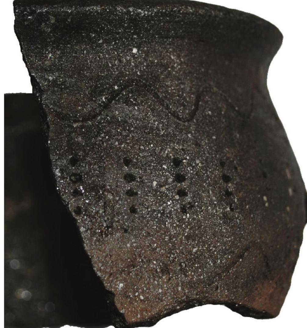 Fig. 8. Fragment of a pot with graphite: Répcelak-Galagonyas, filling of the round house (Photo: Ildiké Katalin Pap} 
