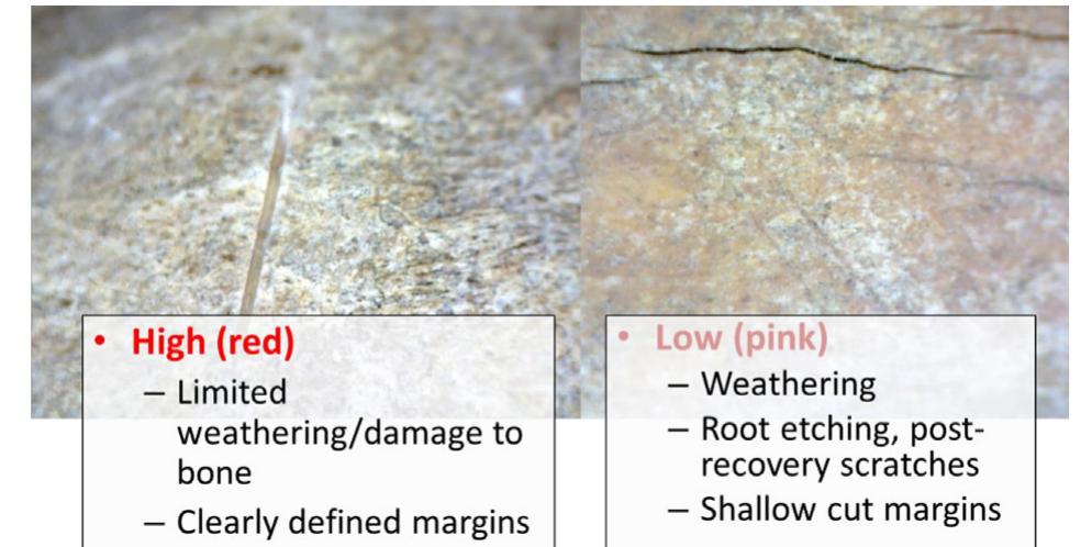 Fig. 2. Criteria for determining high confidence cut marks (left) from low confidence marks (right), indicated in subsequent diagrams using red and pink, respectively. 