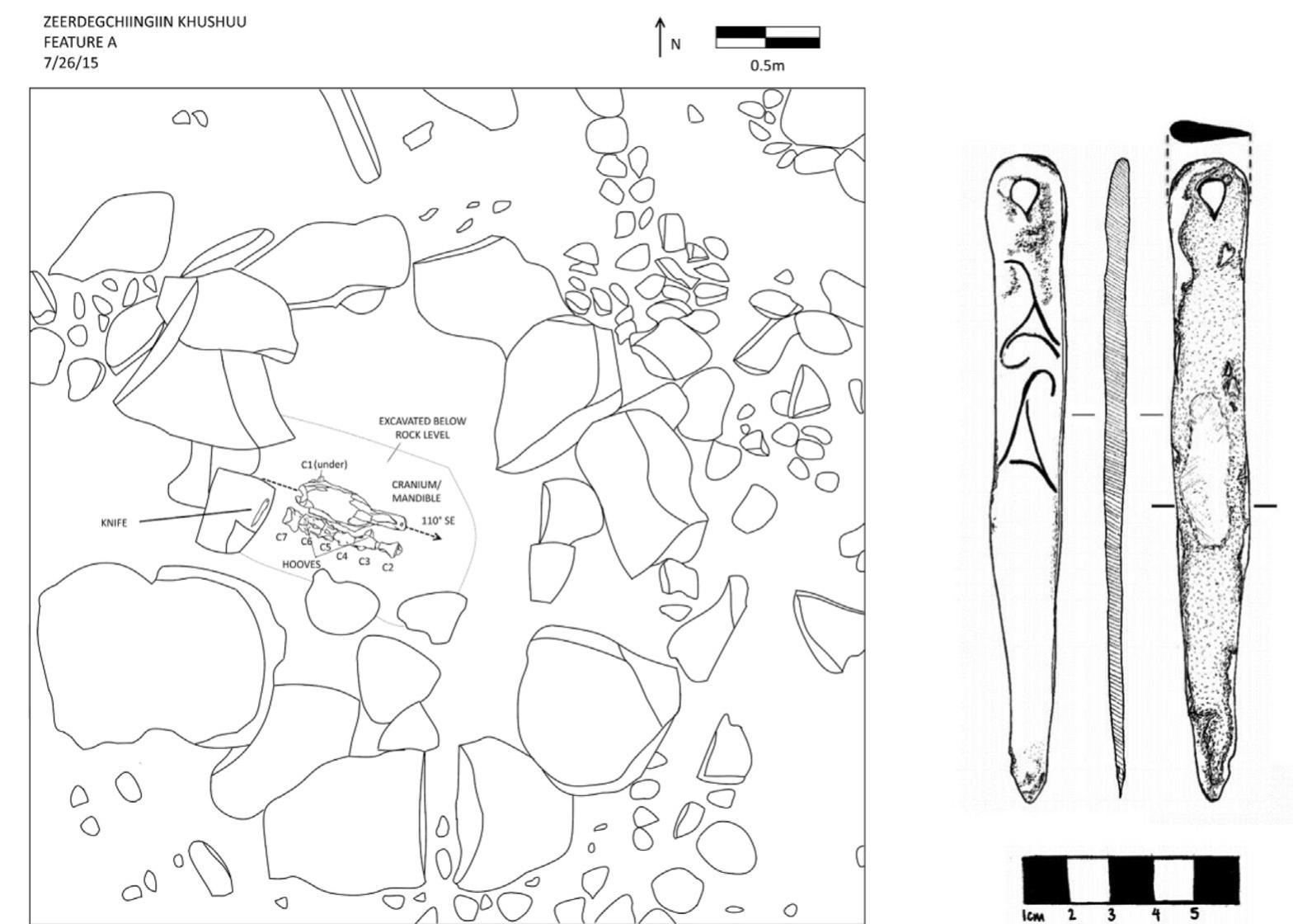 Fig. 9. Feature A at Zeerdegchingiin Khoshuuu in Khuvsgul province, showing layout of horse burial (left) and line drawing of bronze knife recovered within (right). 