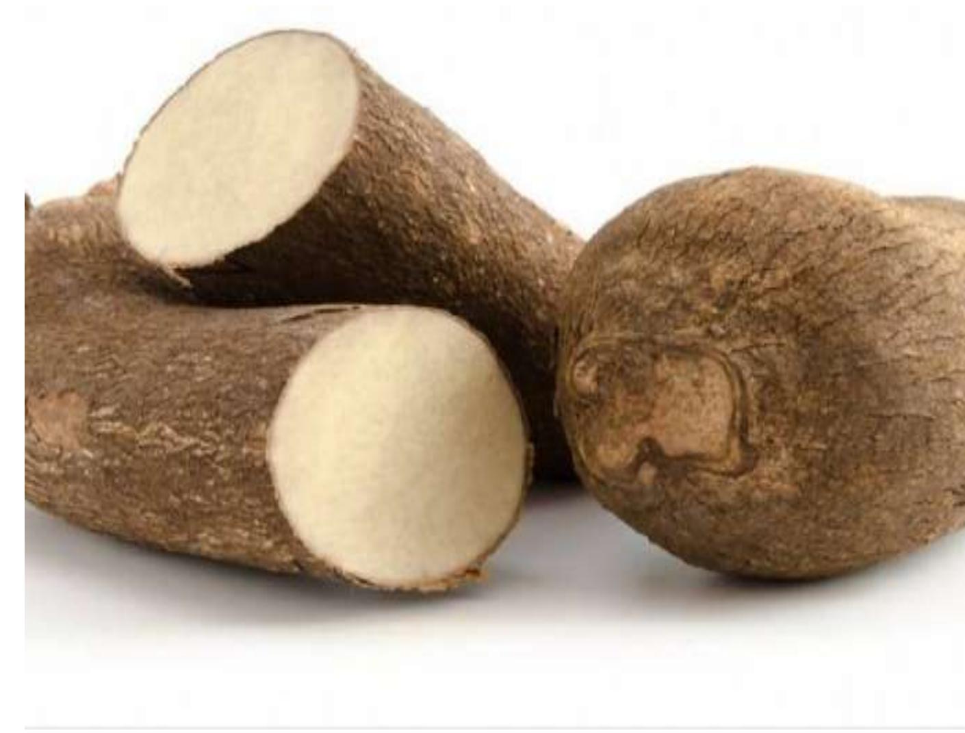 Yam Rot (PDF) Control of Yam Rot with Plant Extract of Curcuma longa, Syzygium ...