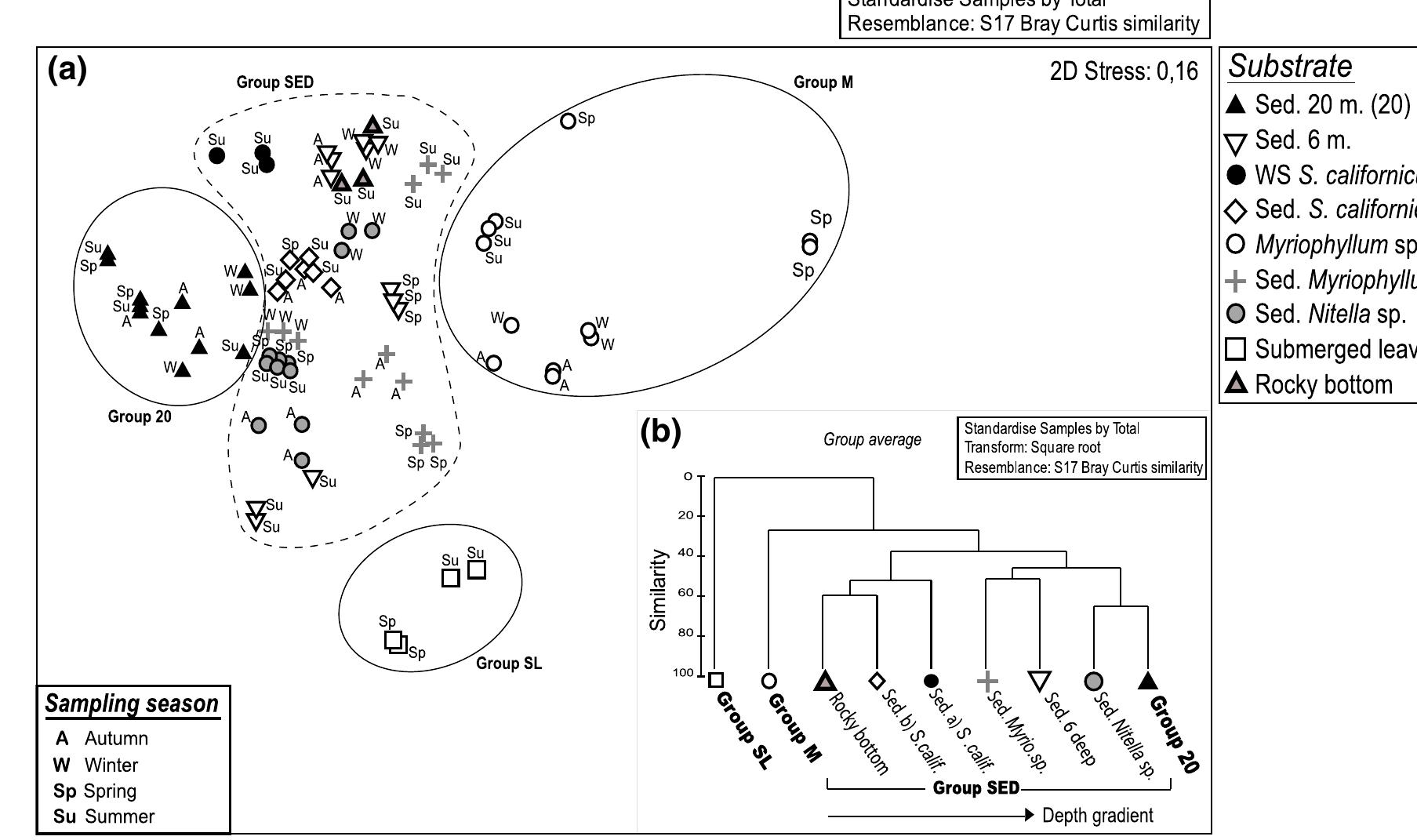 The letters A (autumn), W (winter), Sp (spring) and Su (summer) indicate the sample season. b Clustering analysis based on the logo transformed chironomid abundances for each substrate type. Main chironomid groups (M, SL, 20, and SED) and depth gradient are indicated in the inferior margin  Fig. 5 a Analysis of non-metric multidimensional scaling (NMDS) of chironomid larvae assemblages samples in Lake Moreno Oeste according substrate type. Principal groups of chironomid assemblages (Myriophyllum sp.: Group M; sub- merged leaves: Group SL; sediment at 20 m deep: Group 20; and sediment littoral and sublittoral: Group SED) are exhibited.  The chironomid assemblages in each season are presented in Fig. 6. After assessing the results of the NMDS analysis, a one-way ANOSIM was performed for each substrate to test for the significance of the seasonal variations in the assemblage, if any. Chi- ronomid assemblages presented significant seasonal differences in the Myriophyllum sp. substrate (group M) (R = 0.938; P = 0.001), where P. escondido was dominant during autumn and winter (51.3 and 60%, respectively). In spring, the most abundant taxa were  