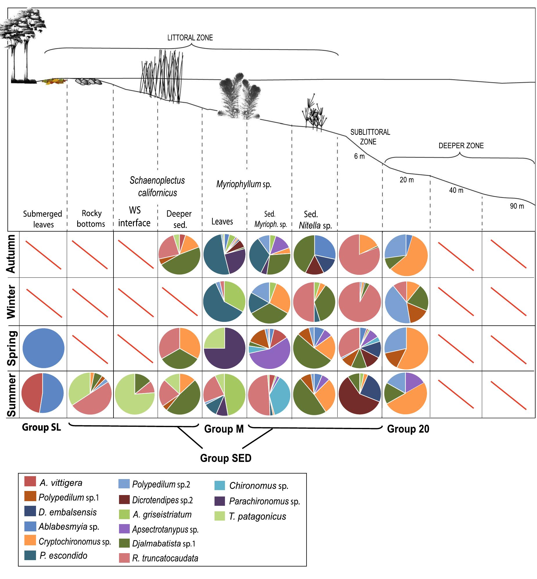 Fig. 6 Relative abundance (%) of chironomid taxa recorded seasonally in the different substrates from Lake Moreno Oeste. Main chironomid groups (M, SL, 20, and SED) are also indicated 