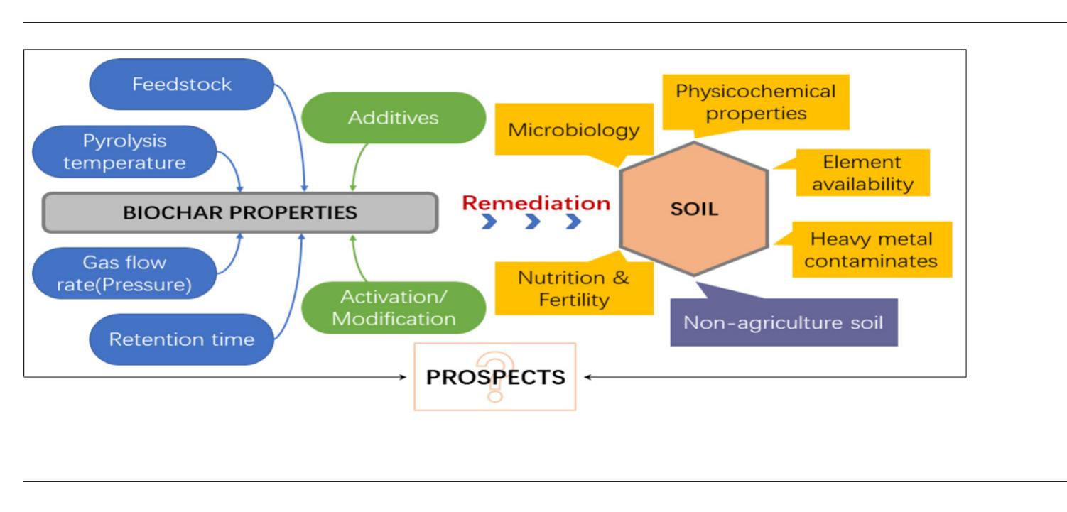 (PDF) Review of biochar for the management of contaminated soil ...