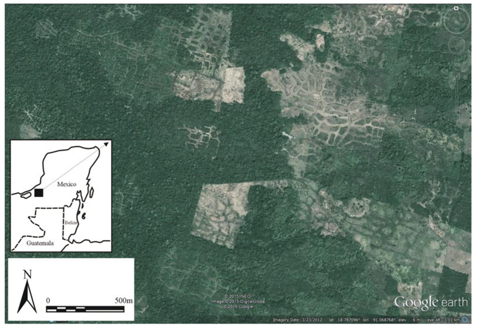 Figure 5. Satellite image of wetland fields in Campeche, Mexico (source: Google Earth ©2015). 
