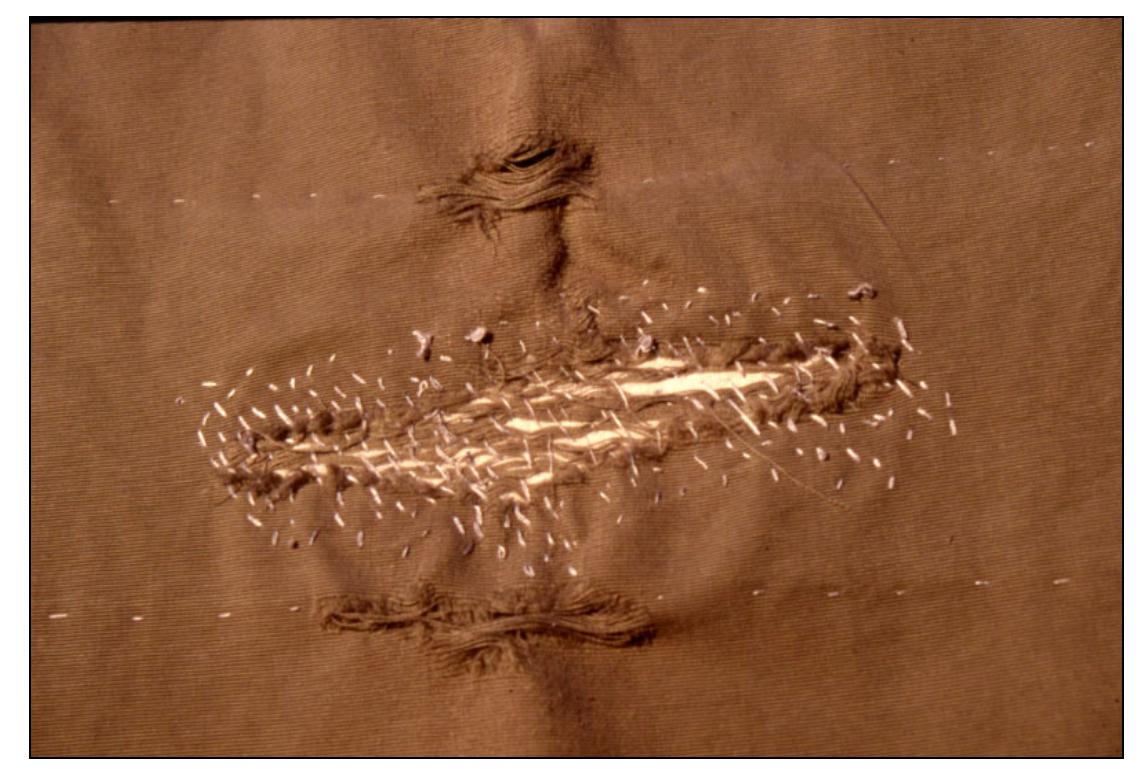 Figure 1 - from Darning: A Visible Thread