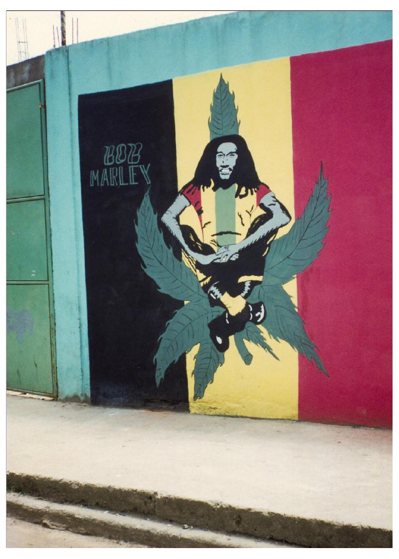 CVA REVIEW, image size:804x1126