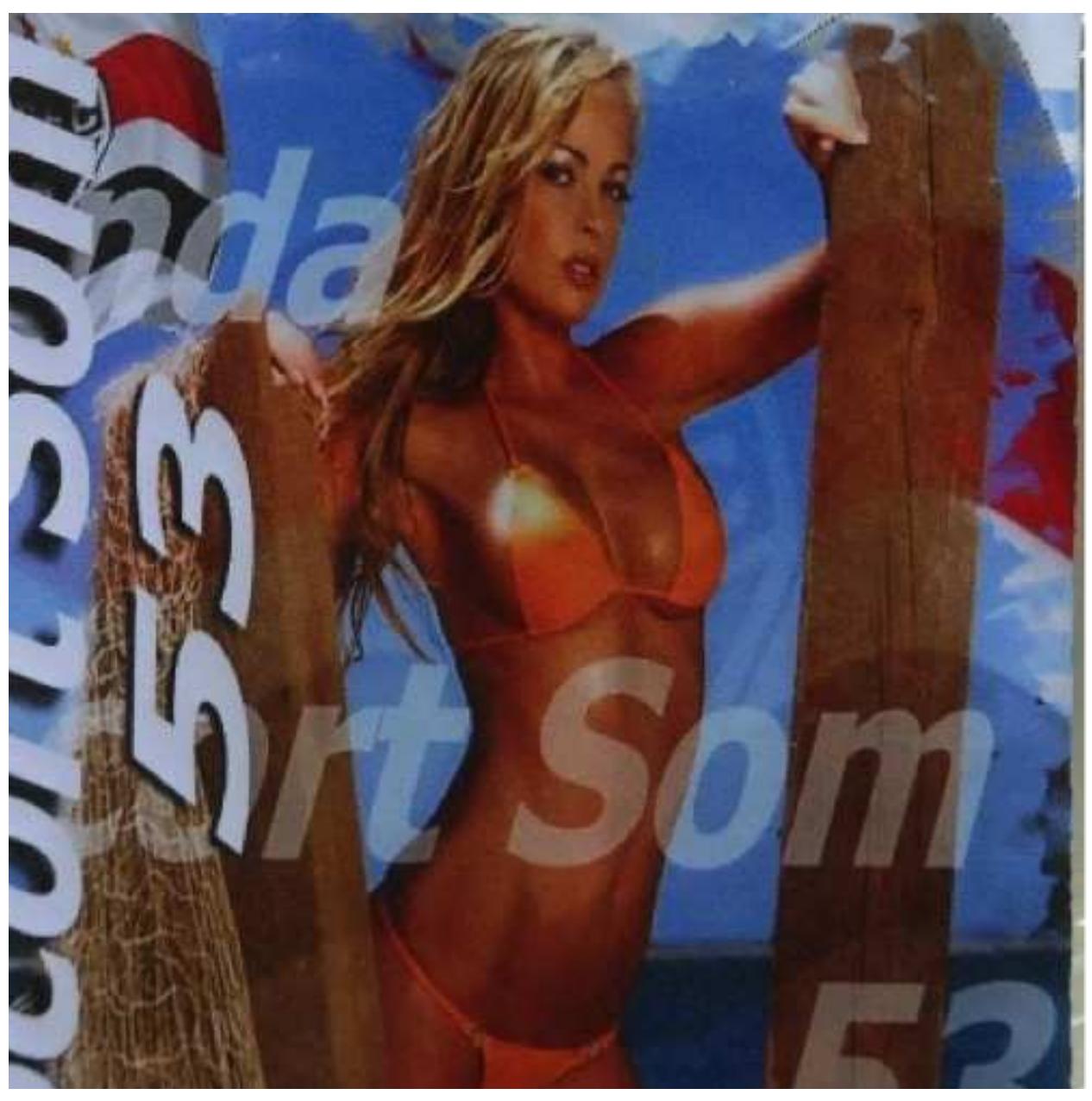 PDF) The Urban Peripheries II