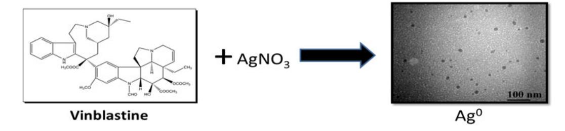 Schematic representation of silver nanoparticles synthesis