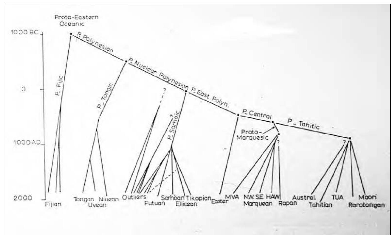 Figure 2. Roger Green’s “family tree for the Polynesian languages” (Green 1966:Table 9). In this model, Hawaiian diverges from the Proto-Marquesic branch around the middle of the first millennium AD.  hawaiian archaeology 