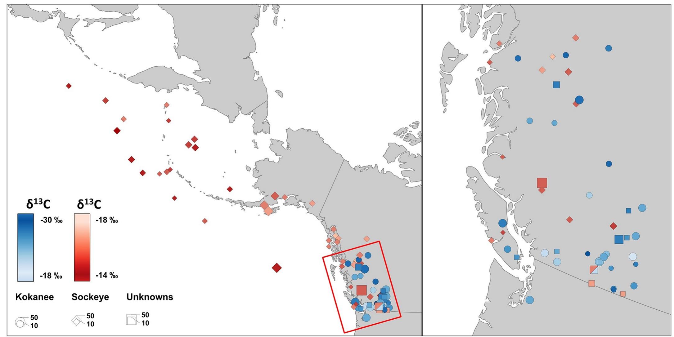 Stable Ecotype Model (PDF) Differentiating salmonid migratory ecotypes through stable ...