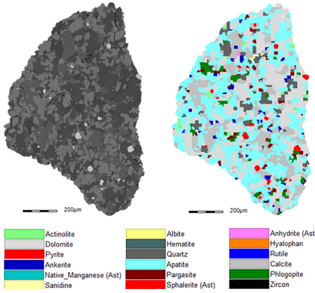 Fig. 1. Example of a back scattered electron micrograph (left) and false color segmented (right) image of a particle from the grinding feed as analyzed with MLA with identified mineral phases in different colors. 