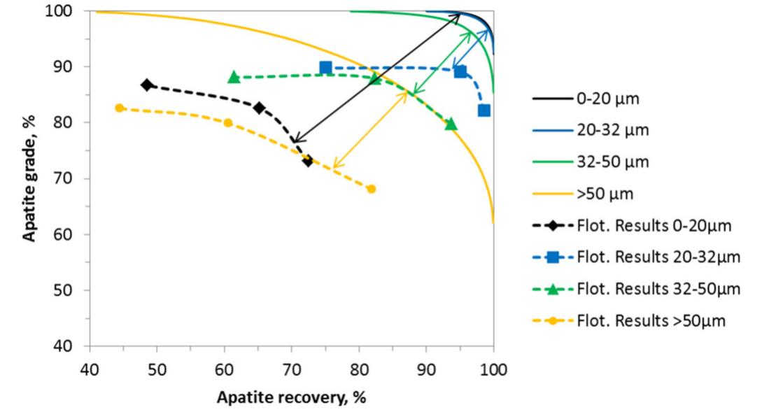 Fig. 10. Mineralogical limiting curves (continuous lines) and flotation results (dashed lines). 