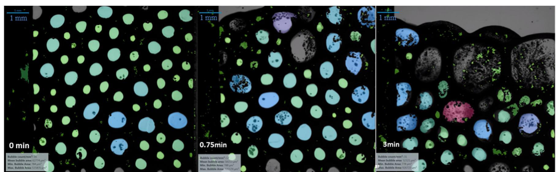 Fig. 6 - Recorded images of the froth structure at different flotation times at camera height of 60 mm, i.e. froth height fro1 9.25mm to 16.75mm. 