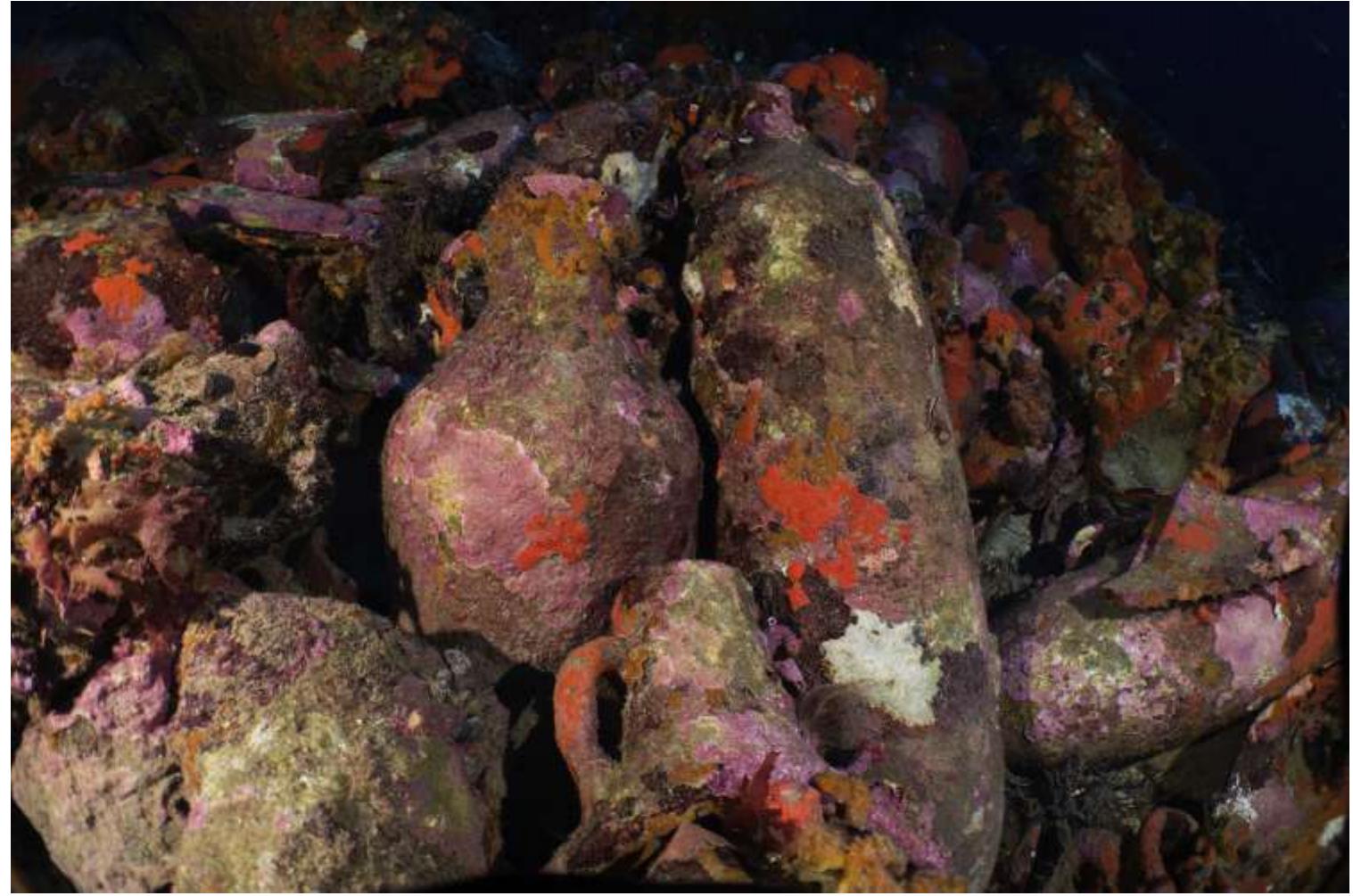 Fig. 2. Portrait shipwreck amphorae typology.  Focusing on sites located between 60-70 m, at a similar depth to our case study, from the first interventions to almost the  Two diving sessions were programmed for the second day of fieldwork: one for the photogrammetry recording procedure anda second one for capturing further detail and clearing the site at the end of the process of all the equipment used during the interven- tion. The camera was programmed to record in time-lapse mode with flash, with a shooting frequency of once every two seconds. We opted to store the files as good compression JPEGs (approx- imately 1:4), which gave us better guarantees that we would be able to store the large volume of images captured throughout the 