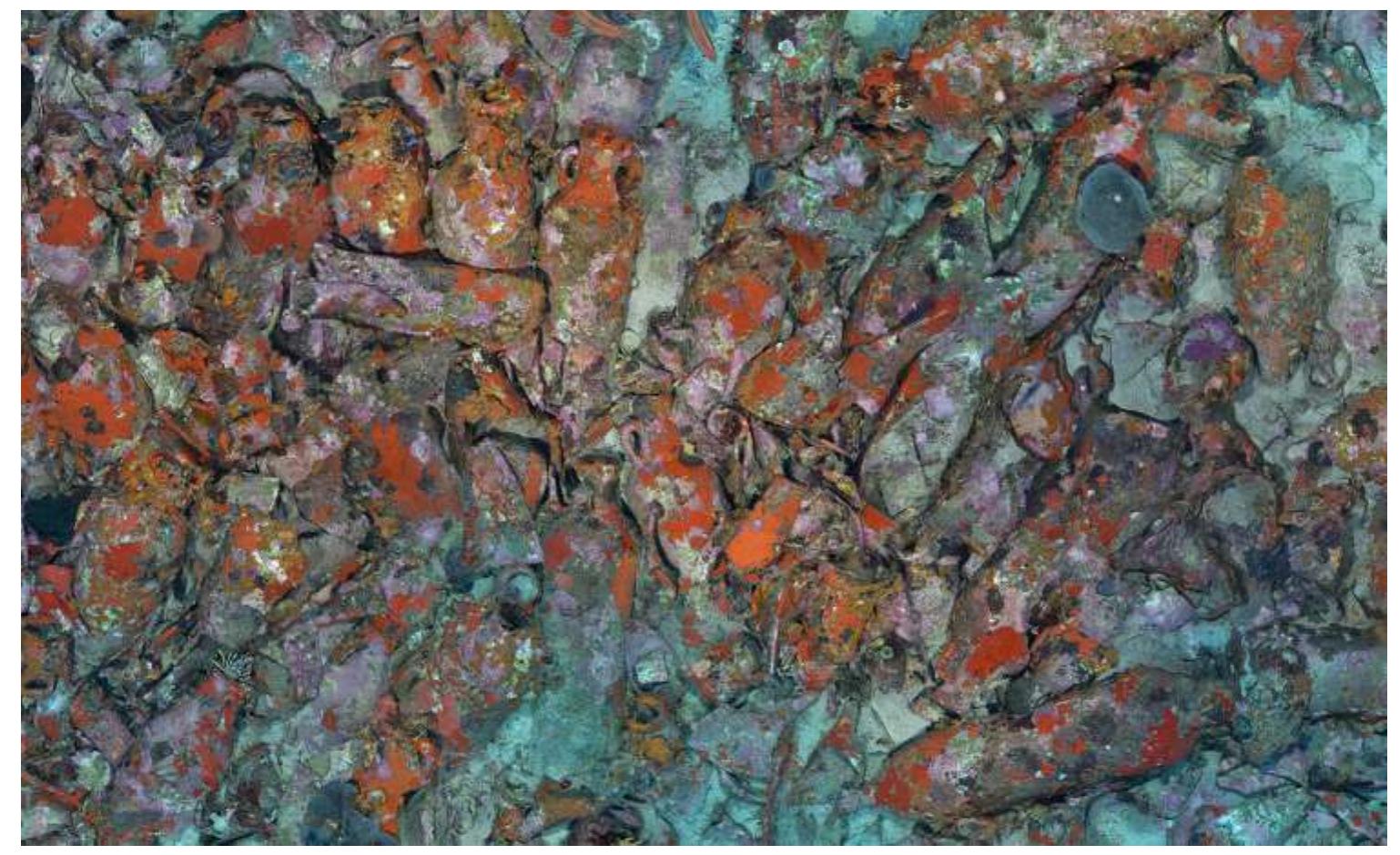 Fig. 4. Maximum detail resolution example from the photomosaic image.  Fig. 3. Targets and scale used during the photogrammetry fieldwork. 