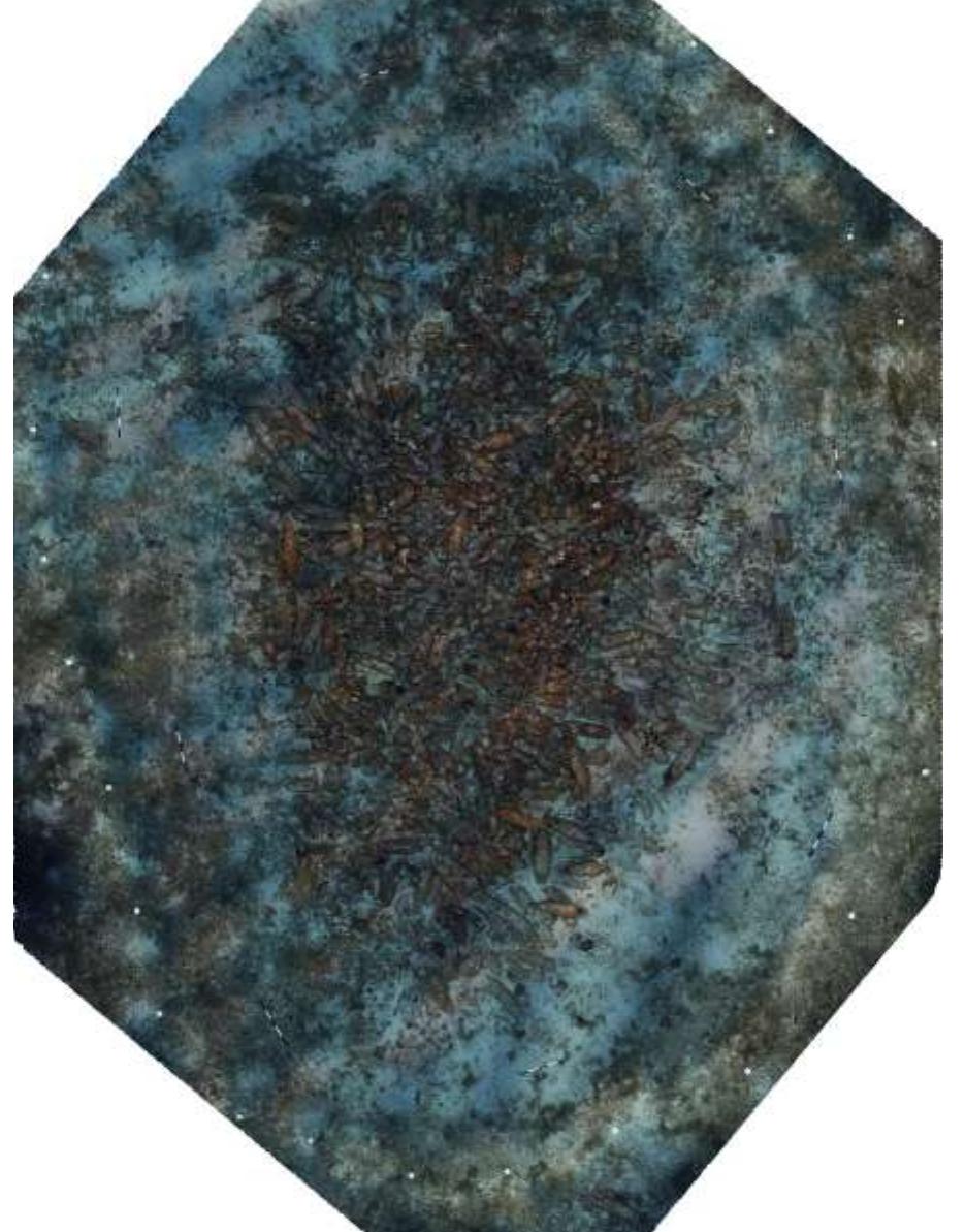 Fig. 5. Photomosaic of the Cabrera XIV shipwreck site created in 2017 during the team’s first visit to the site. It consists of 2000 photos, taken in 45 minutes at 68 m (ca. 2m above the wreck). 