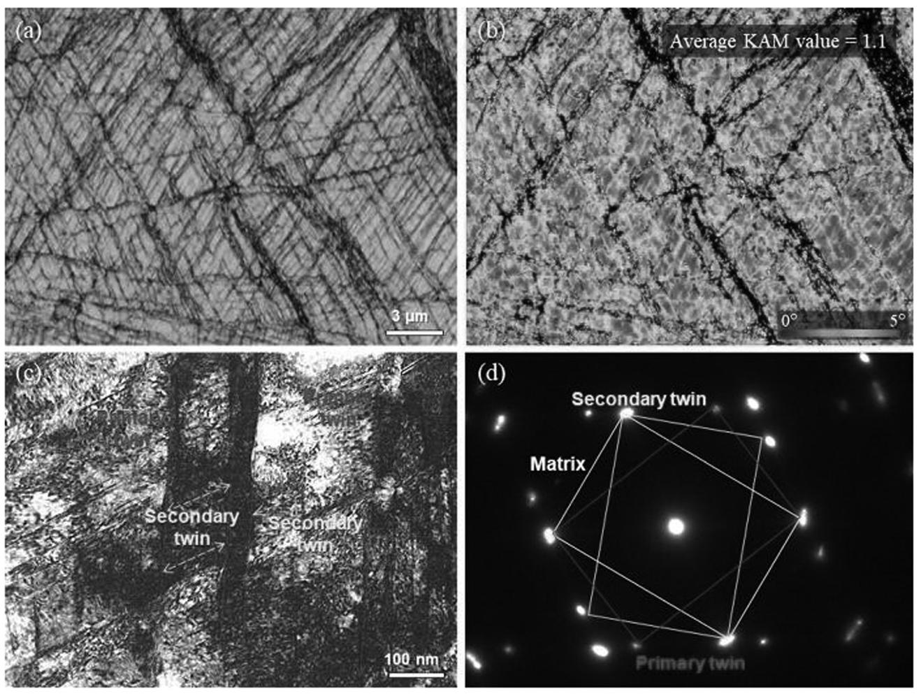 11 (a) ebsd band contrast map and (b) xrd patterns of the