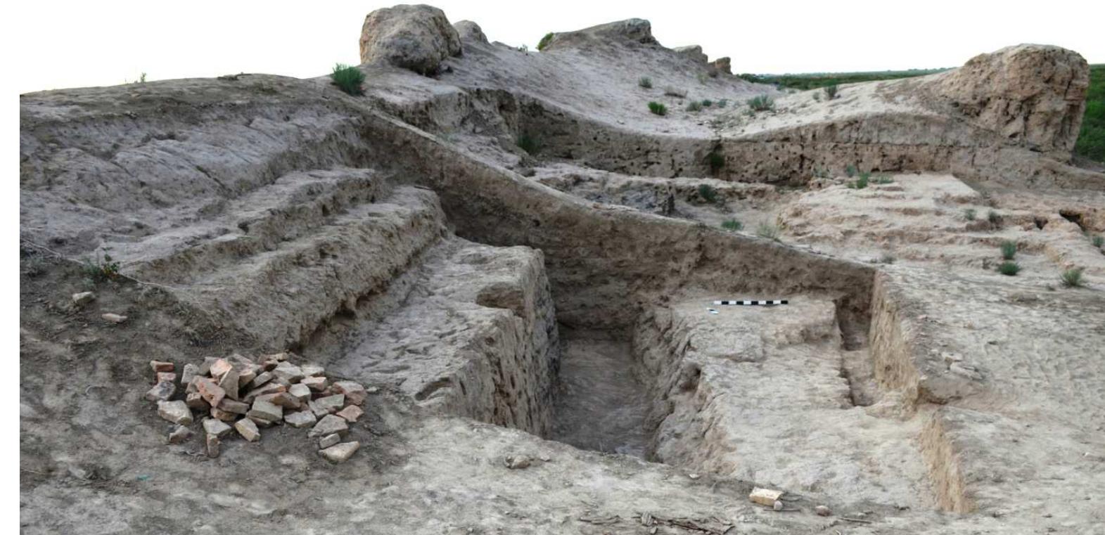 Жұлқып шыққаннан кейінгі кончаткалар