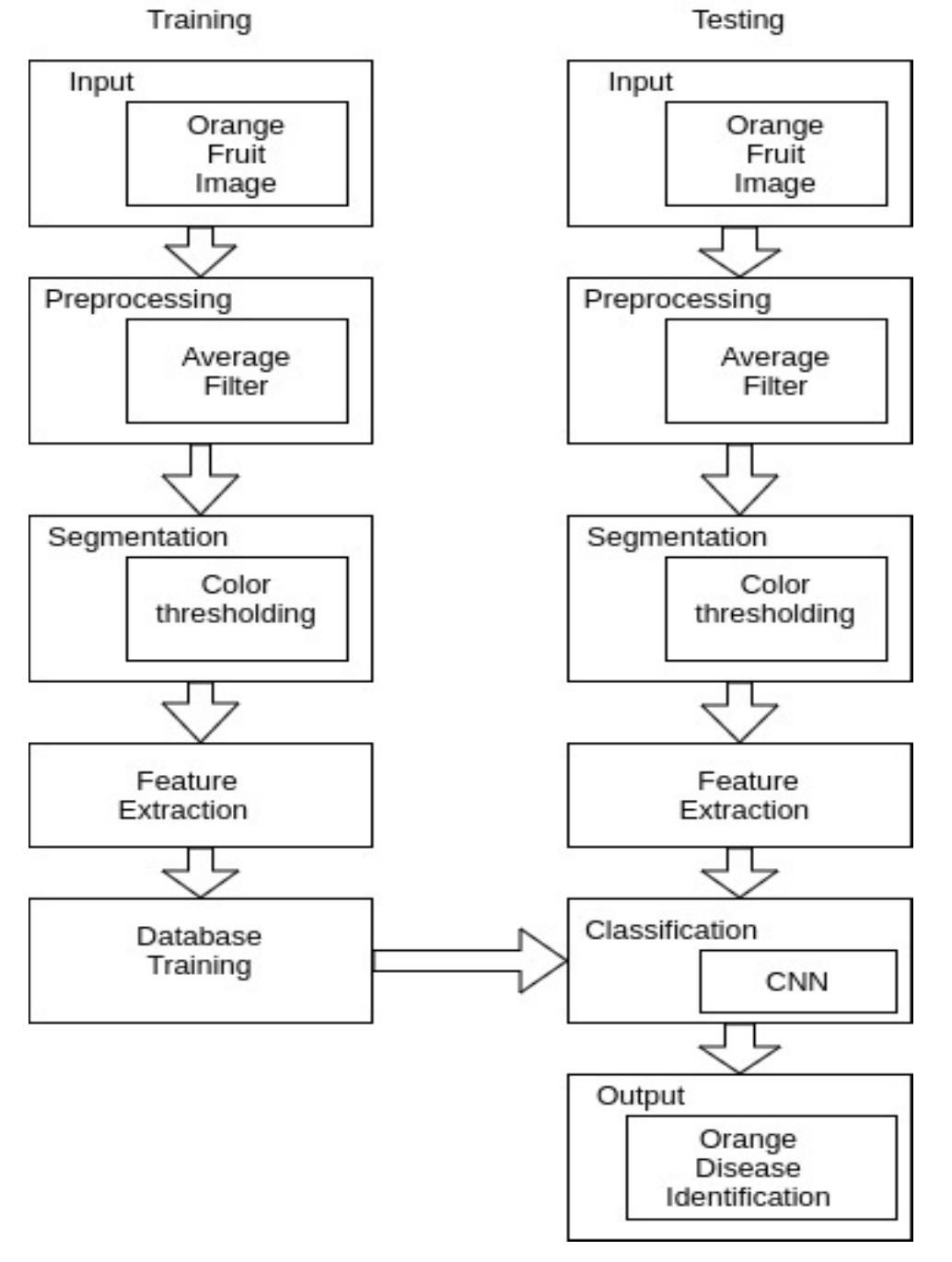 Orange Classification Example Complex (PDF) Orange Fruit Disease Classification using Deep Learning Approach