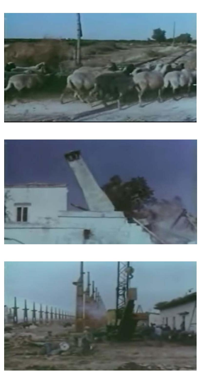 Fig. 2 - Shot by Shot from a documentary (Copyright: IRI) 