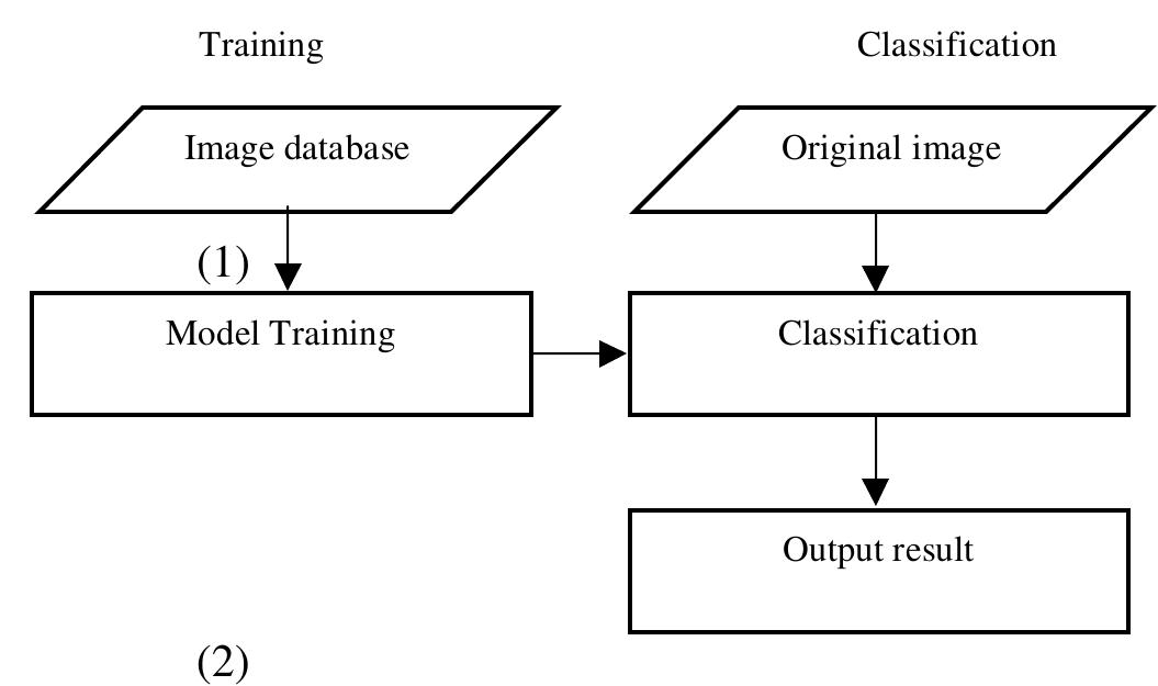 Flowchart of the classification model aside from the