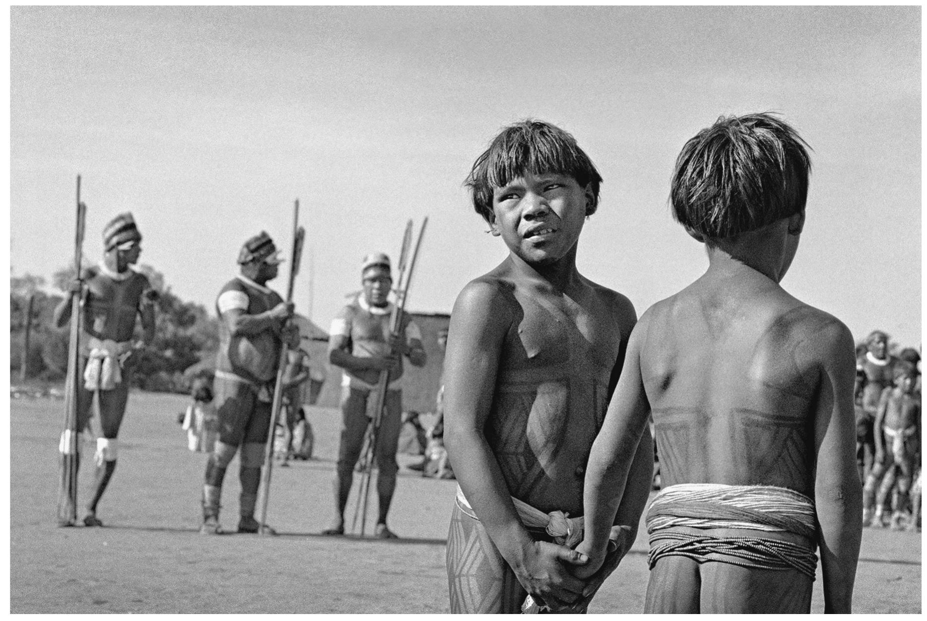 xingu mature PDF) Chiefly Jaguar, Chiefly Tree: Mastery and Authority in the Upper Xingu