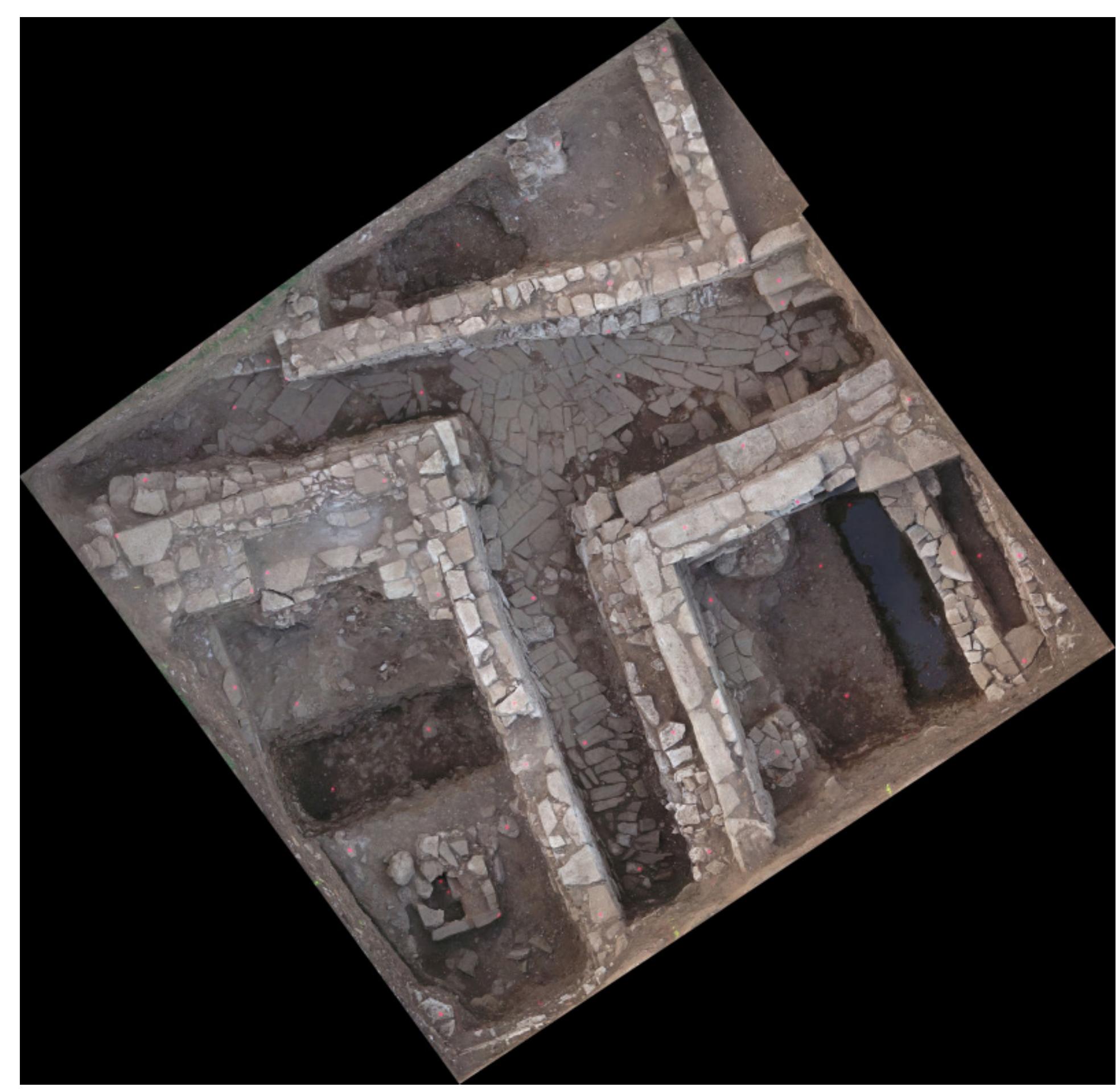 Fig. 6. Palace complex — aerial view (photo M. Pisz). 