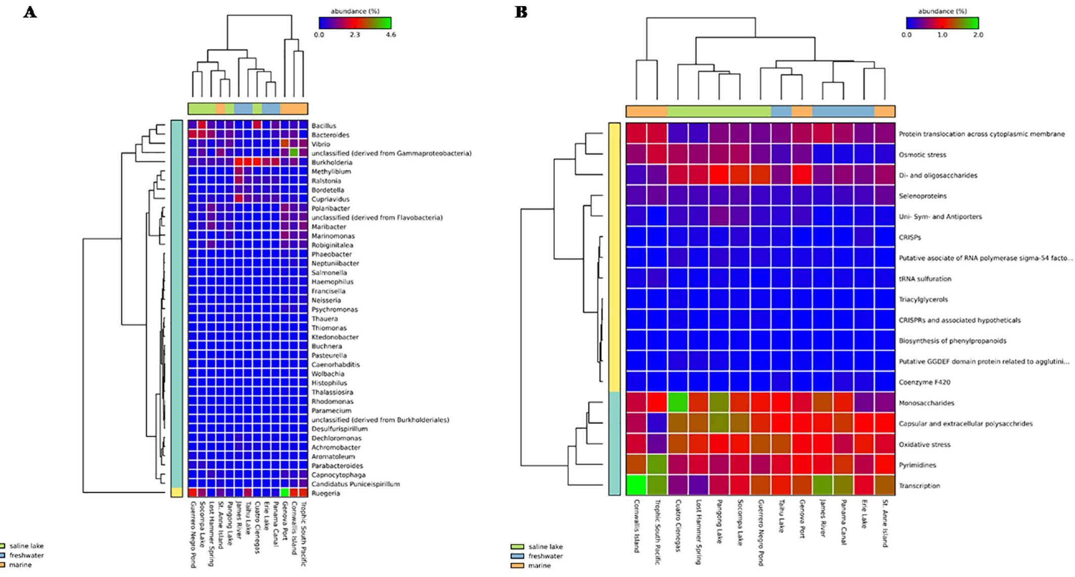 Heatmap showing relative abundance of genus and function at