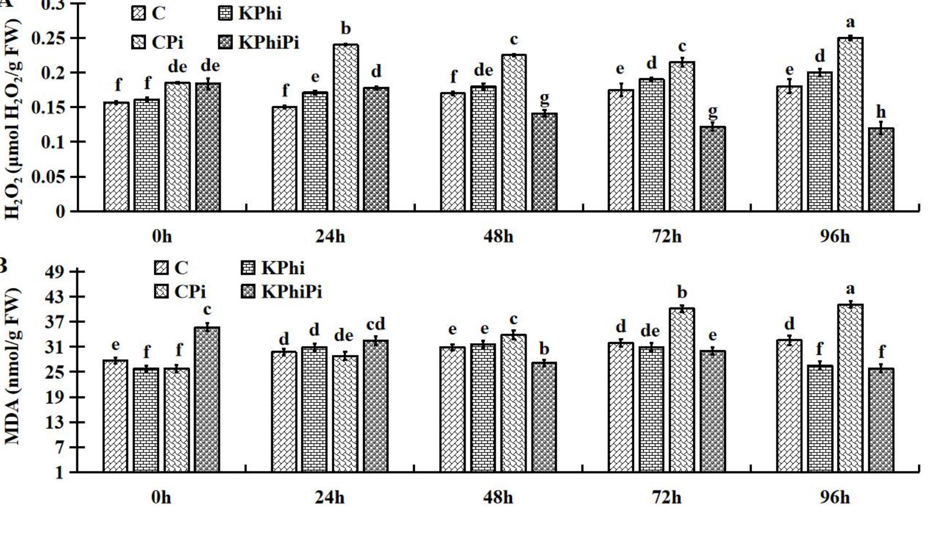 H202 Pattern (PDF) Effects of Potassium Phosphite on Late Blight in Potatoes and ...