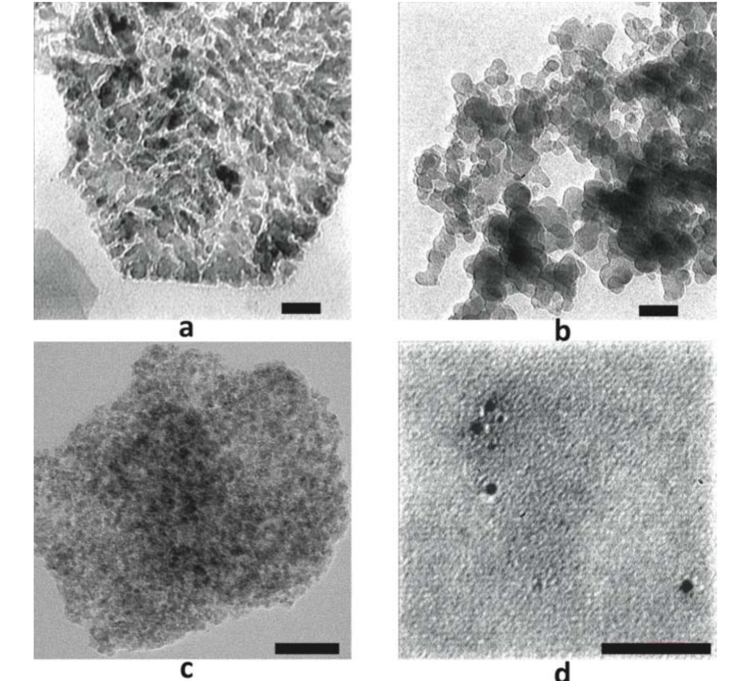 CONC WRINKLE INJECTION 2.5ml 3本セット