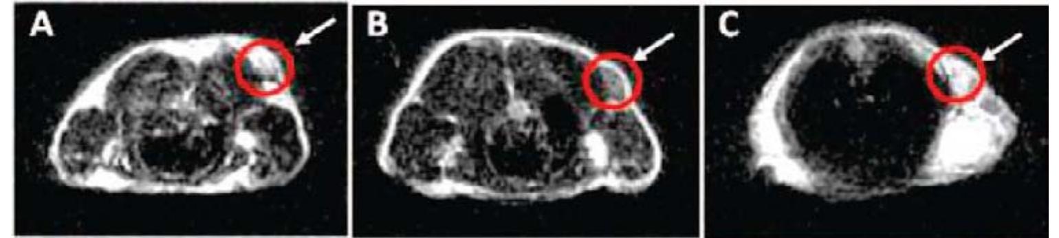 PDF) NANOTECHNOLOGY SCIENCE AND TECHNOLOGY SUPERPARAMAGNETIC IRON