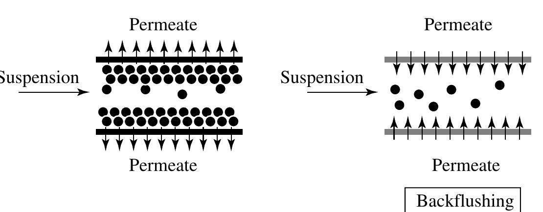 18 the principle of backflushing [2]. reproduced with kind