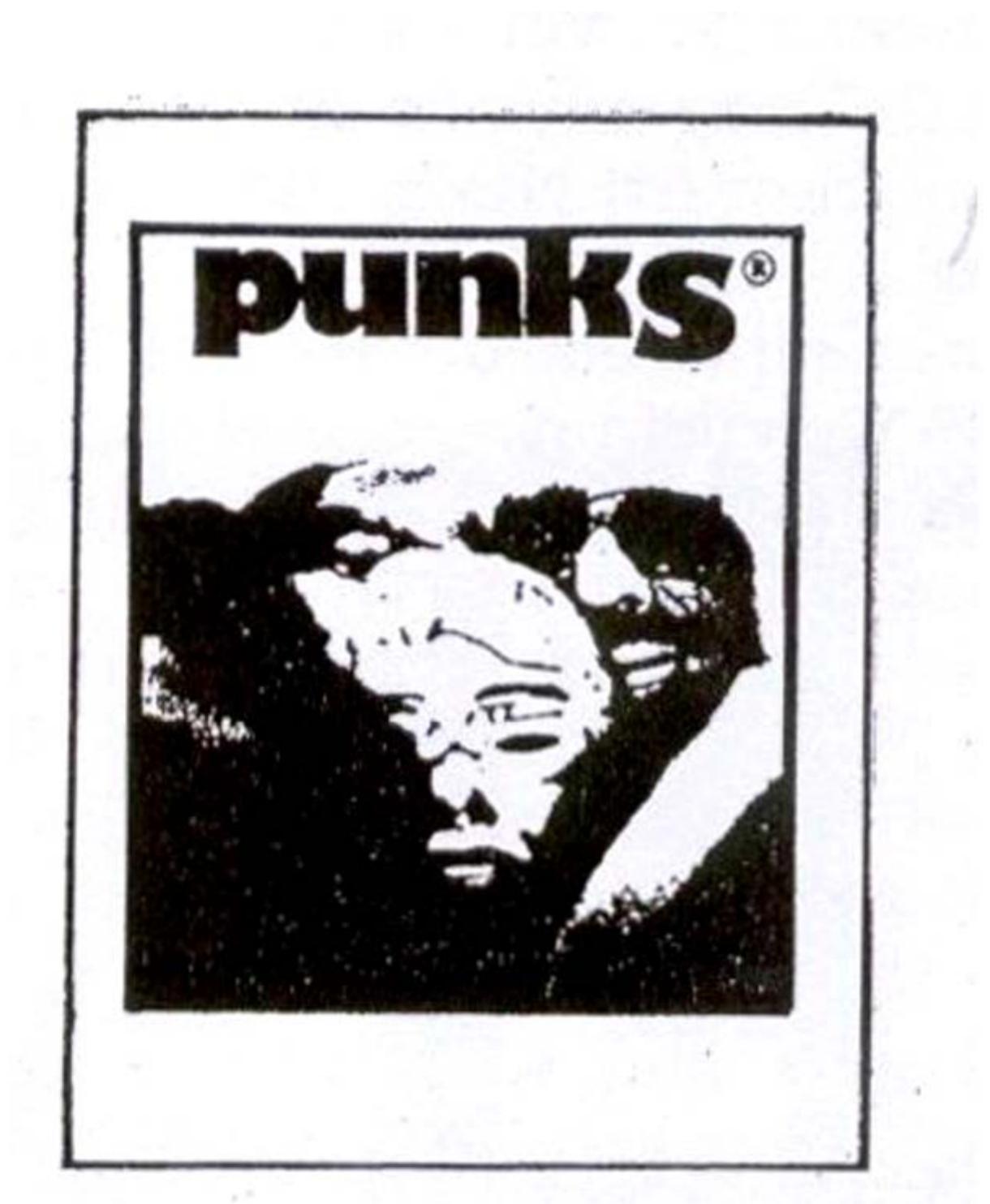 Figure 6 - from Bay Area Dadazines and Punk Zines in 1970s