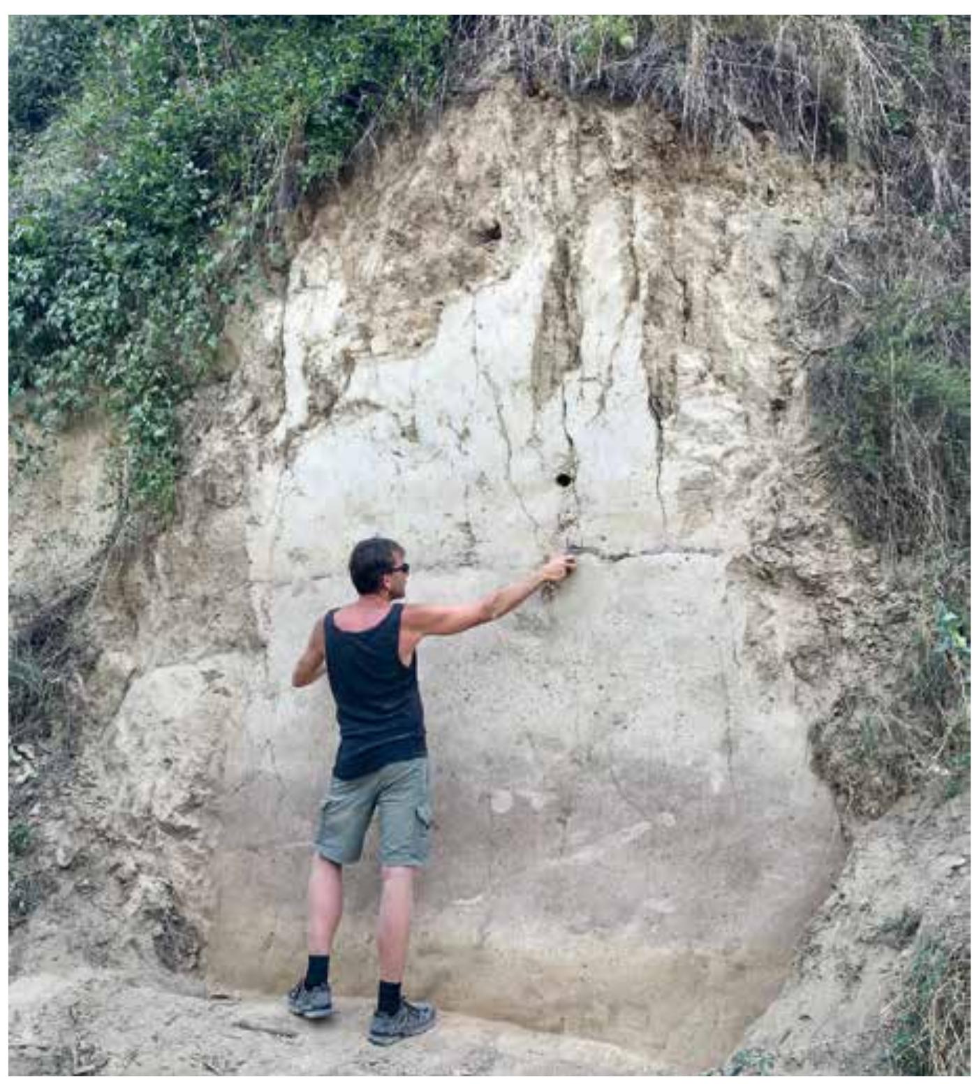 Fig. 37 Langenlois-Weichselgraben 2019, profile 1 (© OREA, M. Handel) 