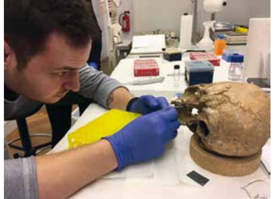 Fig.47 Lukas Janker performing acid etching to gain pep- tides from prehistoric teeth at the Natural History Museum in Vienna (photo: K. Rebay-Salisbury)  Fig. 46 Lukas Janker and Doris Pany-Kucera in a hands-on discussion on the best spot to sample at the Natural History Museum in Vienna (photo: K. Rebay-Salisbury) 