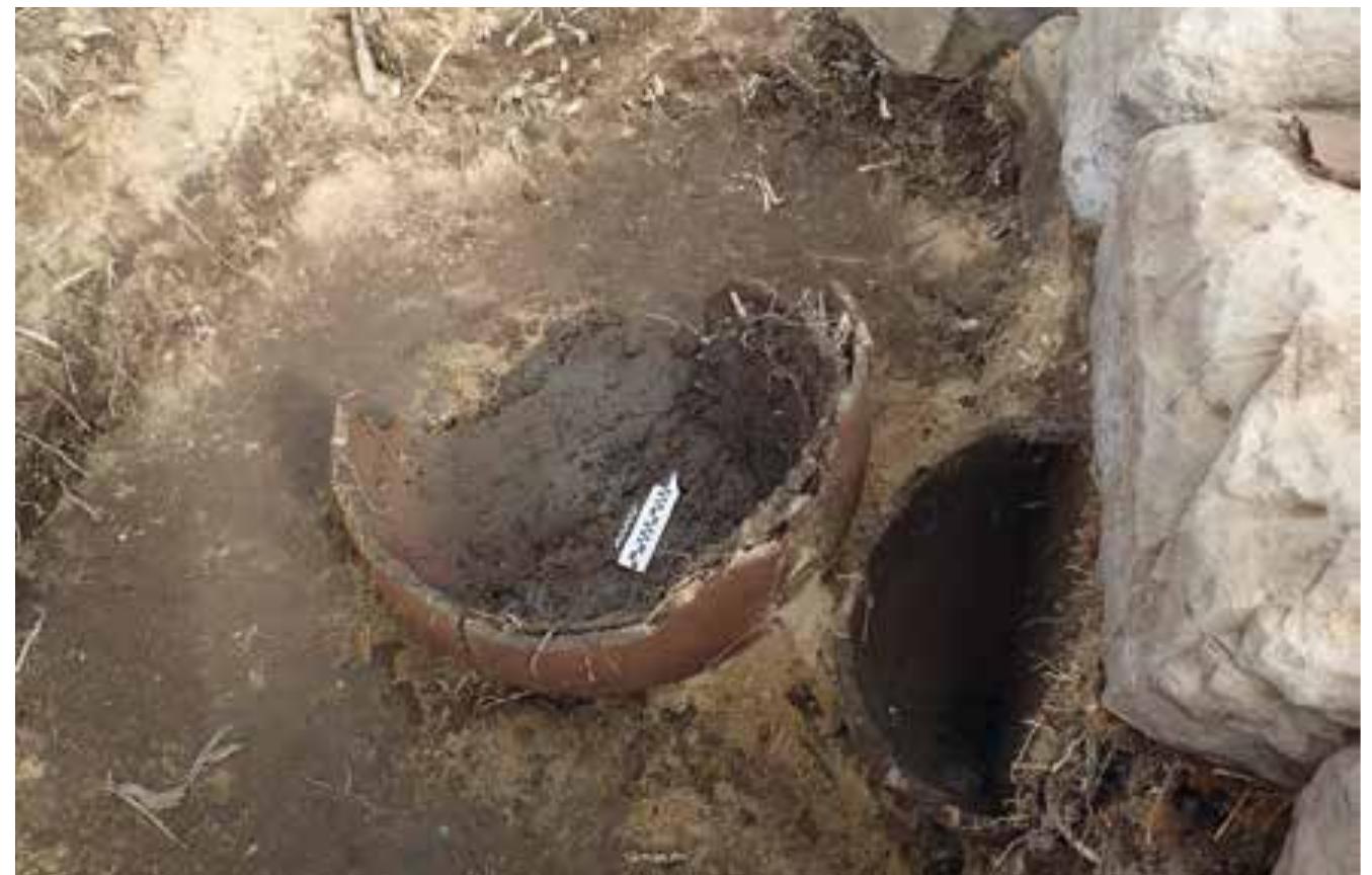 Fig. 52 Large Pottery vessels under the flagstones of the Hery-shef temple at Herakleopolis Magna (© photo by B. Bader, Heracleopolis Magna Proyecto) 