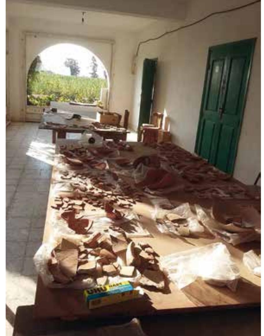 Fig. 55 Pottery assemblage from building L at Ezbet Helmi (photo: B. Bader, © OAI/OAW) 