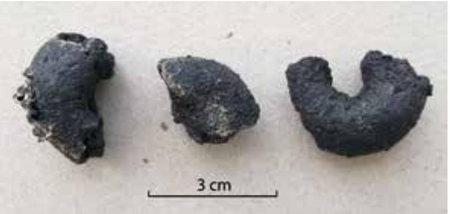 Fig. 61 Ring-shaped bread-like objects from Stillfried (photo: B. Biederer/OREA)  Hi. iViieildela LUUIUICL, LUdill. INLULINGA ULICUL UN Y IN©Sed UU }, DUMUCUIKE DICUELEL  The project is devoted to the question of whether the central site of Stillfried had the function of a supra-regional grain storage space which was accompanied by elaborate rituals. The remark- ably high density of cone-shaped (storage) pits with similar filling patterns gave rise to these considerations; in particular, the depositions of wild and domesticated animals in these pits are exceptional. 