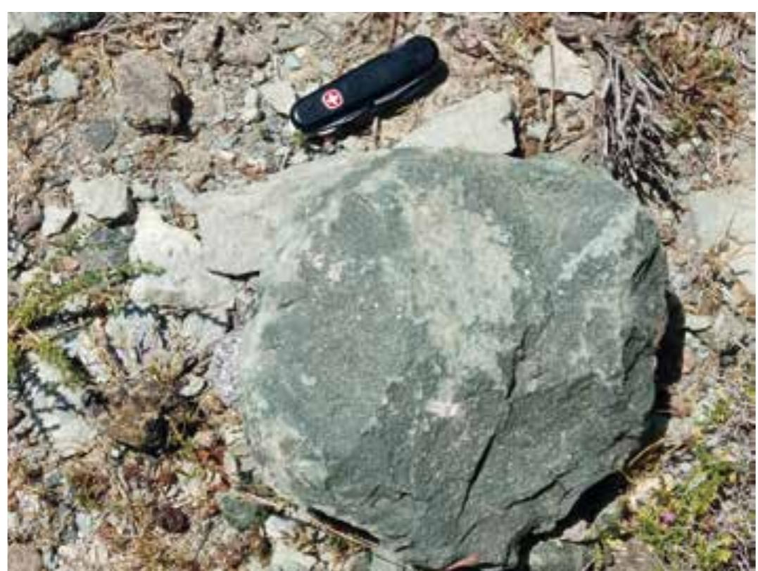 Fig. 65 An eclogite anvil on Syros at a prehistoric stone axe workshop (photo: M. Brandl)  During the Middle Neolithic, obsidian dominates the lithic assemblage, followed by mainly high-quality and in most cases very likely non-local cherts, and local vein quartz. There seems to be a focus on specific materials, as indicated by the narrower spectrum when compared to the Early Neolithic. During the latest phase of the Middle Neolithic (c. 5200 BC) we examined, 13 out of 16 lithic are made from obsidian, which is now used for a broad variety of implements.  Therefore, with all due caution it seems that we can trace — with some possible intermezzos as 