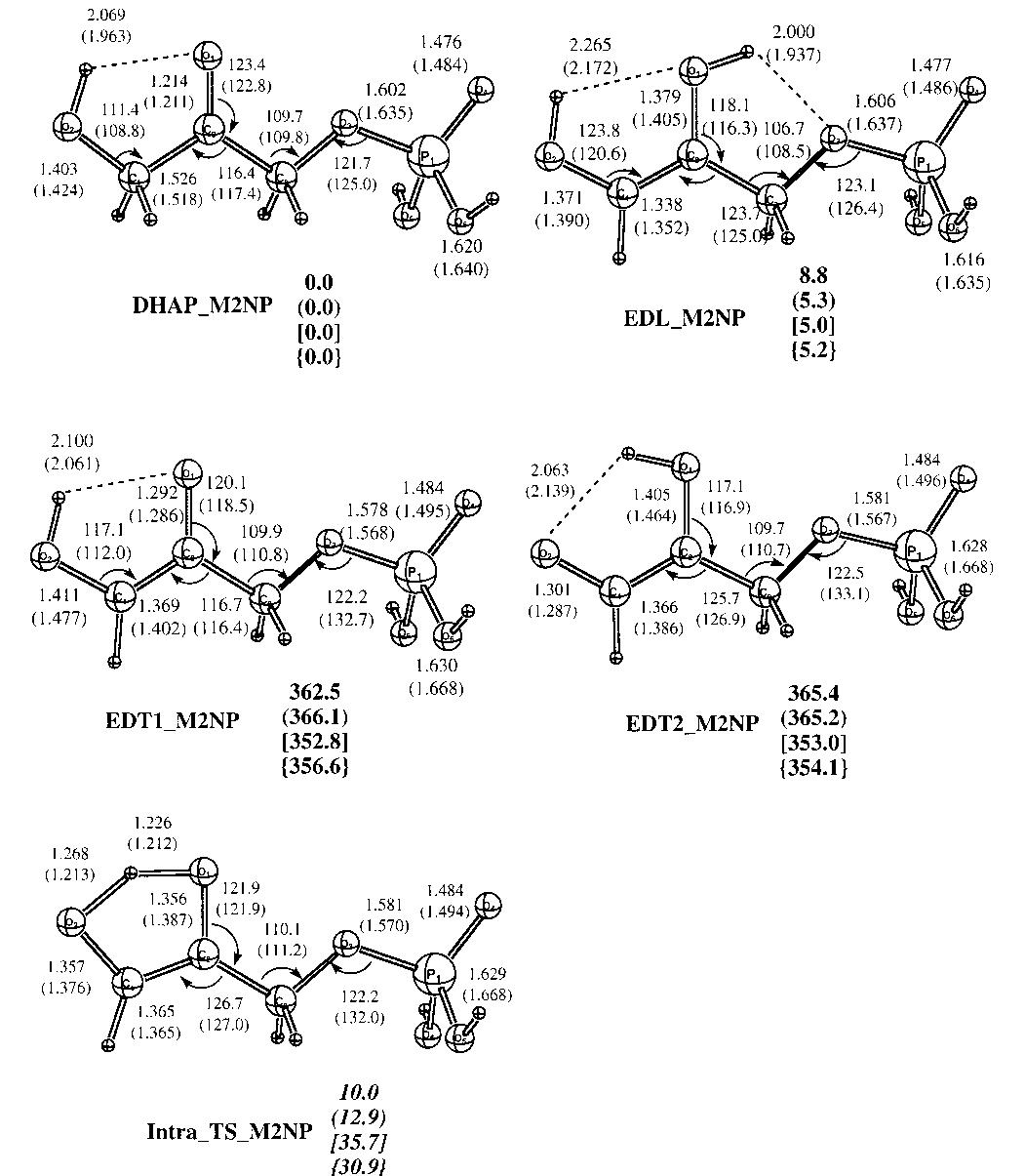Gas-phase qm calculations for simplified models of substrate