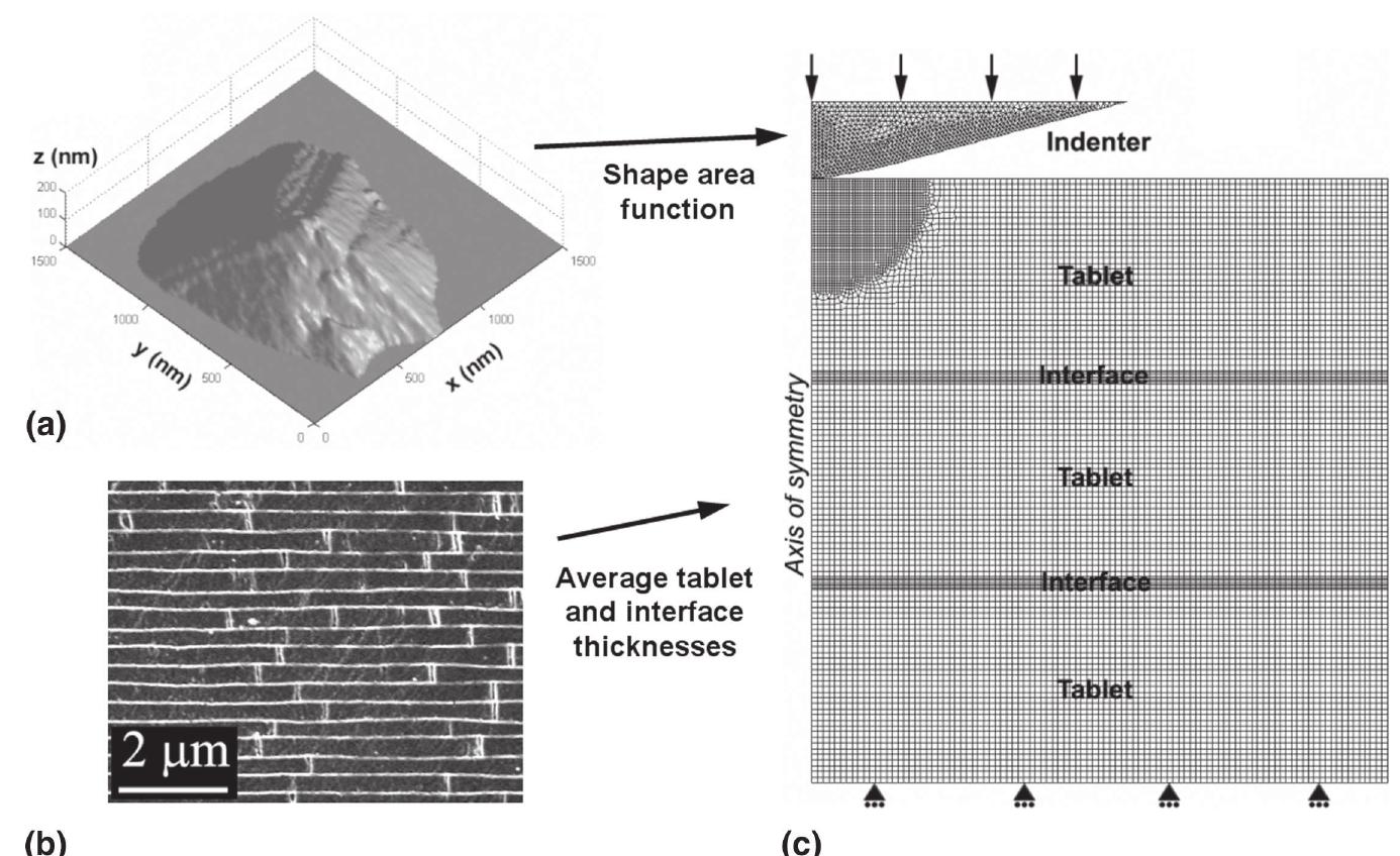 Narce Sem (PDF) Mechanical properties of nacre constituents and their impact on ...