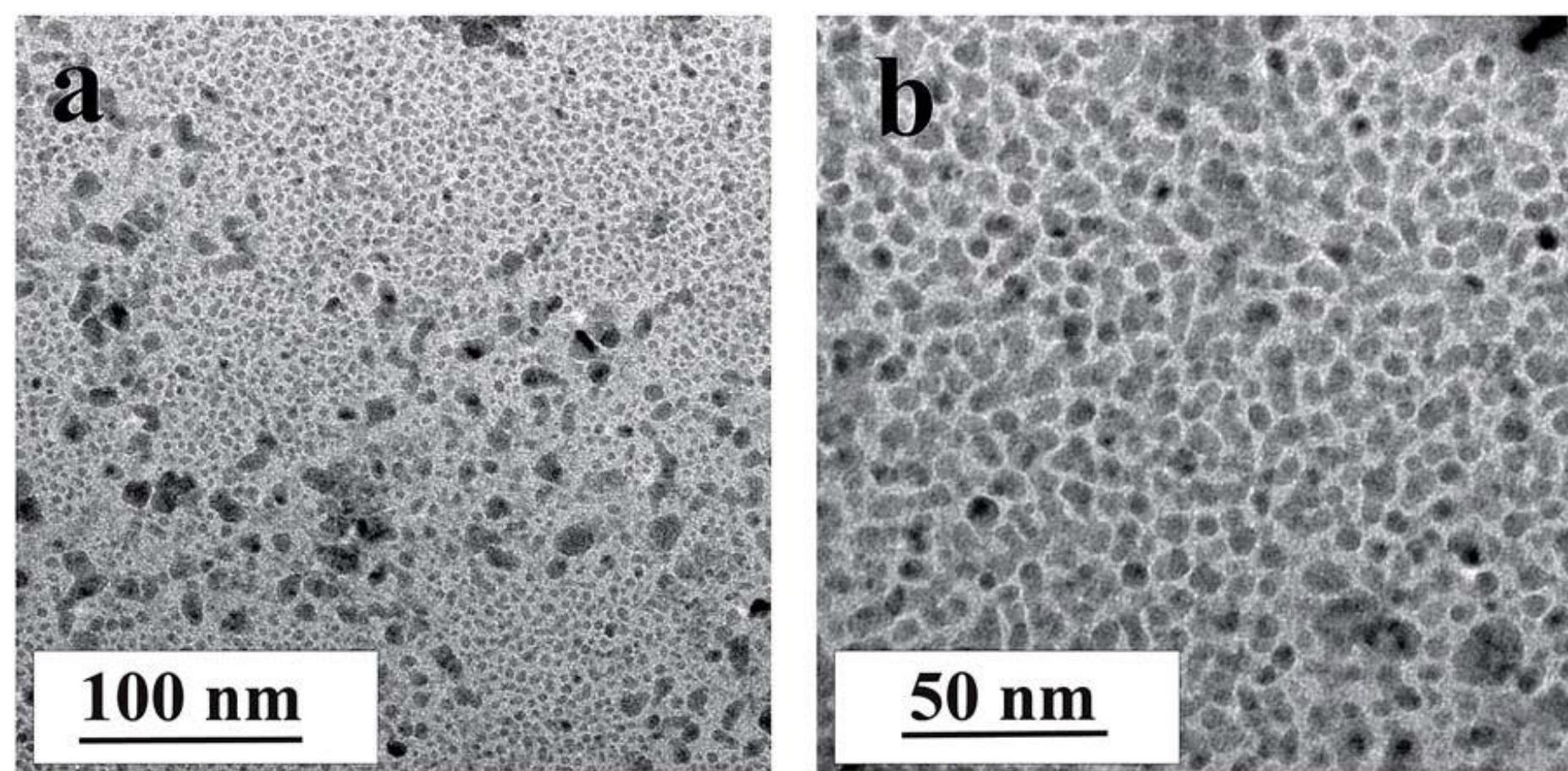 Tem images of synthesized snps [reproduced from ref. 62].