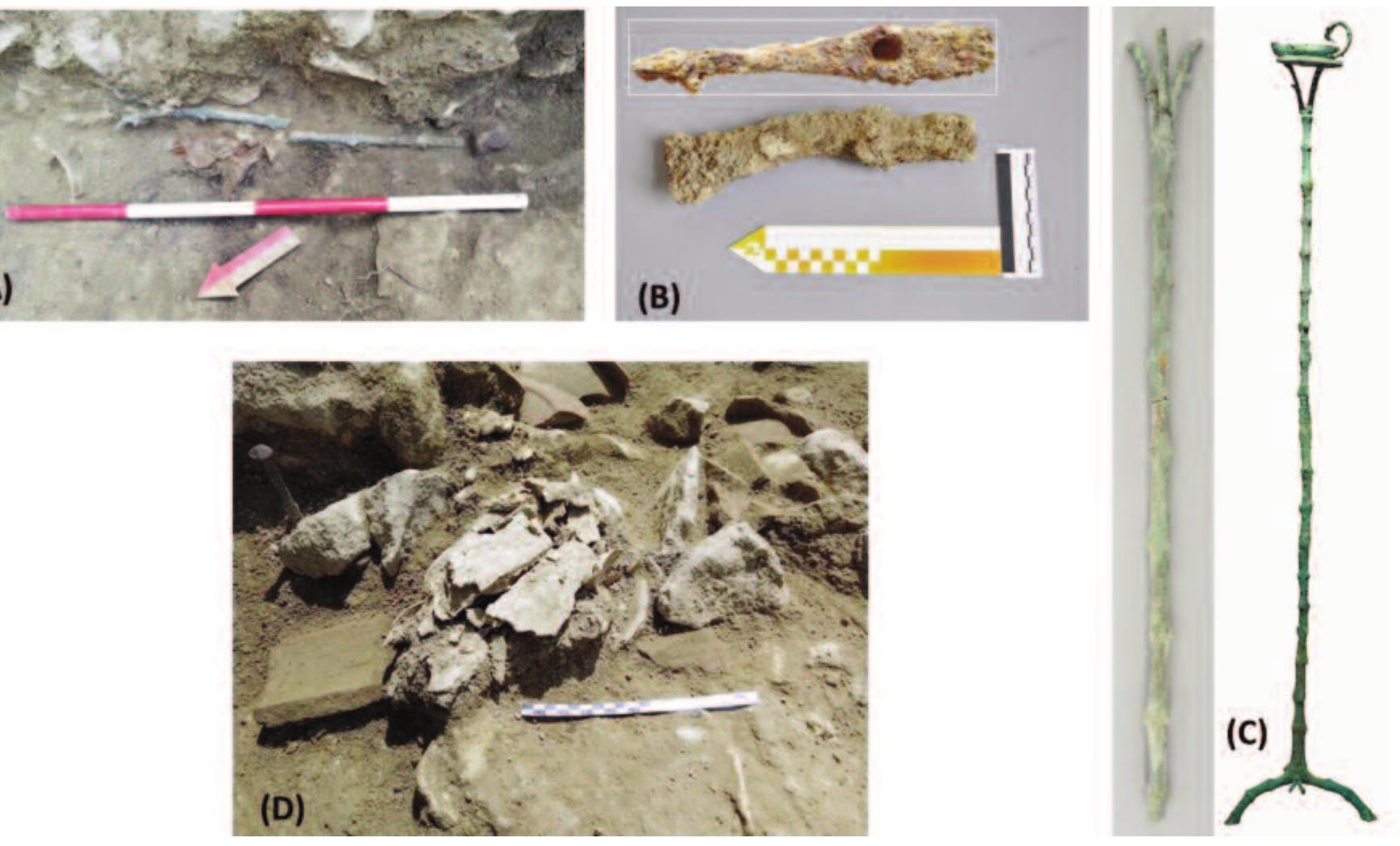 Fig. 5. (A) Photo of the portalucerna and pick-axe head during excavation. (B) Pick-axe head, possibly a dolabrum. (C) Portalucerna after cleaning (left), with comparative example from the villa at Cremona (right). (D) Photo of cow cranium during excavation (image by  D. Pickel 2019). 