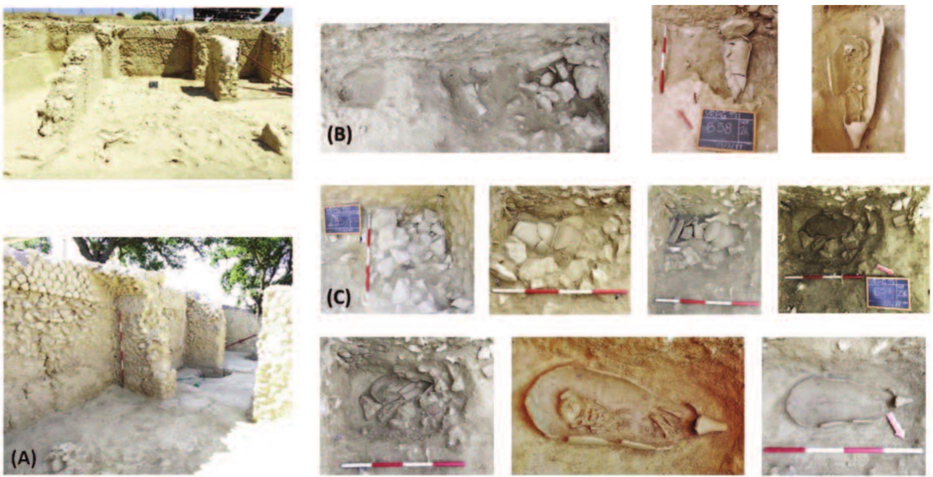 Fig. 9. (A) Room 17 near the end of excavations in 2019; (Top) Interior of Room 17, fac- ing East; Note the difference in deposits between the interior and exterior space. (B) Bur- ial 58; Note the sequence of the burial’s construction (C) Burial 59; Note the sequence of the burial’s construction (image by D. Pickel 2019). 