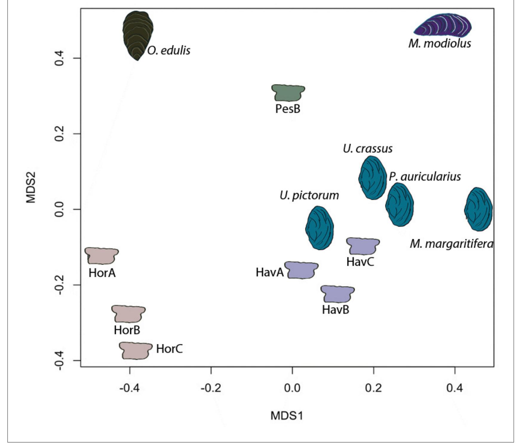Figure 5. Proteome comparison based on peptide sequence similarity, represented by multi-dimensional scaling (MDS). DOI: https://doi.org/10.7554/eLife.45644.011 The following source code is available for figure 5: 