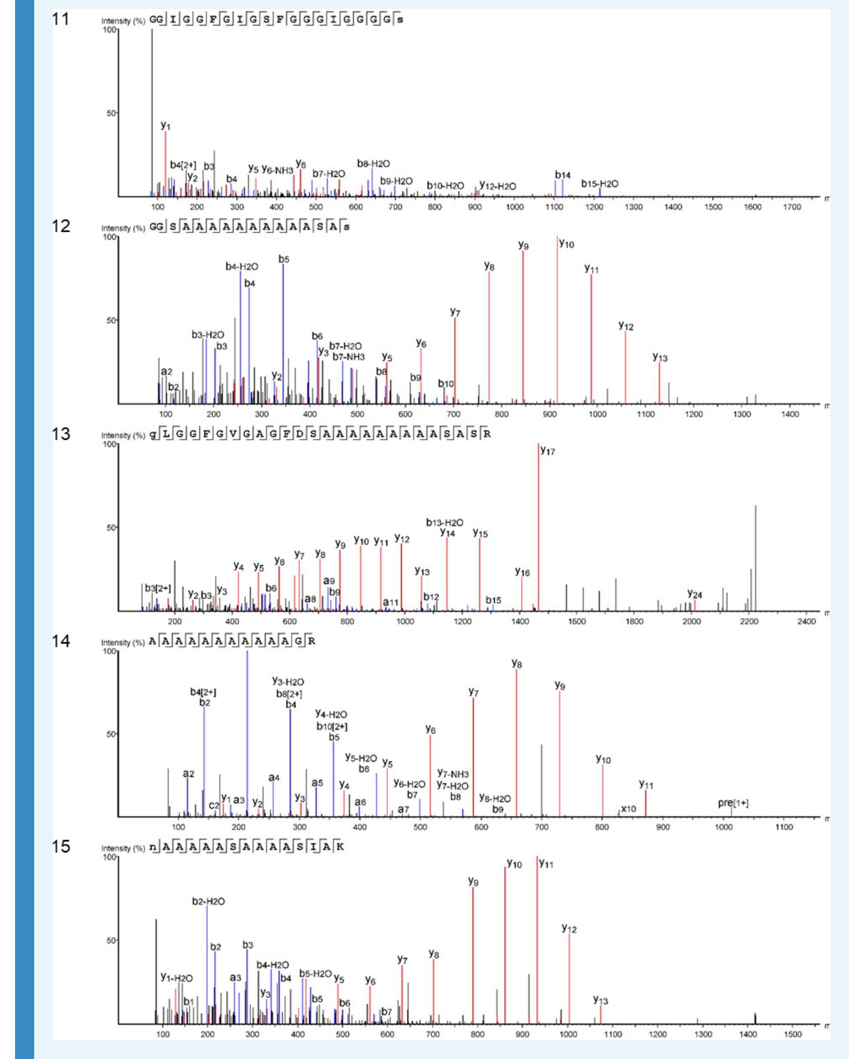 Appendix 1—figure 13. Product ion spectra [11 - 15] supporting the coverage of protein Hic74 identified in Unio pictorum. 